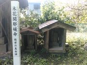 L^J̓c_ЁiHcsj̓eʐ^4