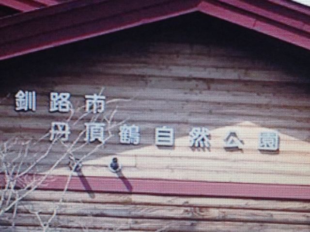 �O����_�O���ߎ��R����
