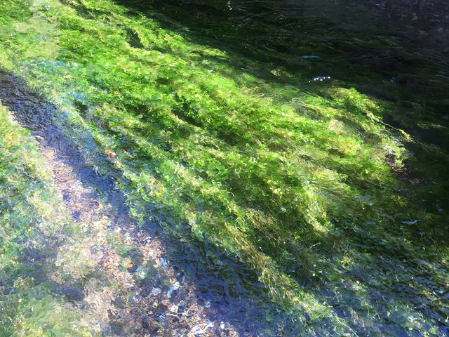 ���ꂢ�ł���_����E�n����̔~�ԑ�