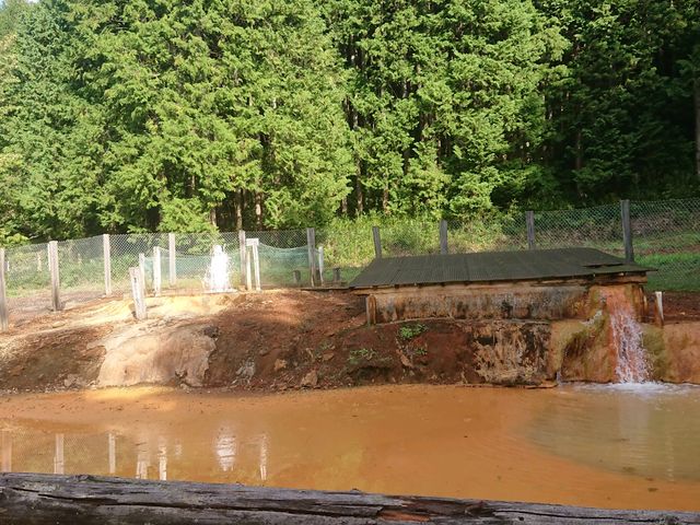 ���R�ɊԌ���_�ؕ��J�Ԍ���