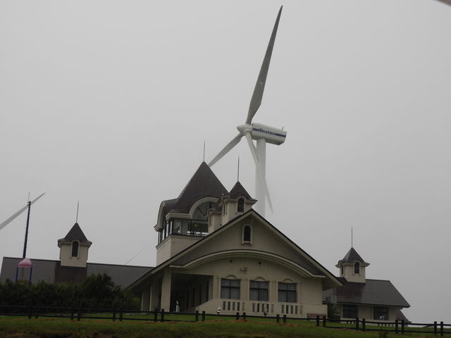 zin̐mۍЂ΂葑̓eʐ^1