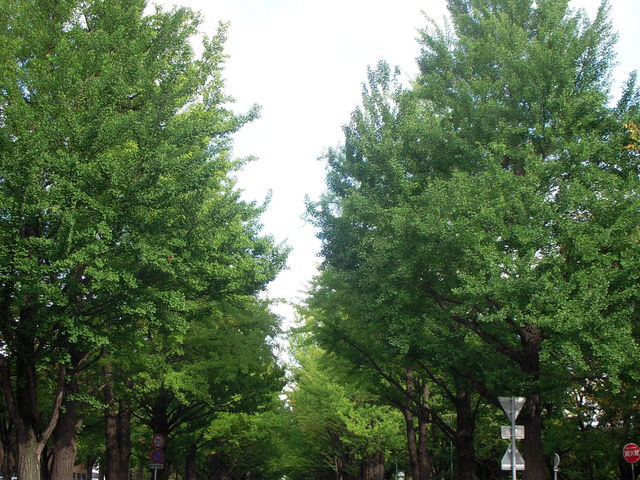 �܂�����Ȋ���_�k��C�`���E����