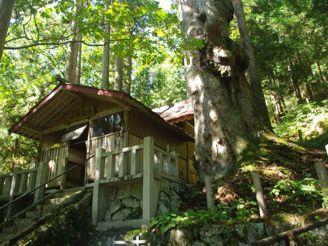 ���^�{�剤����̐_��_�Ђ̓��{���̓��e�ʐ^1