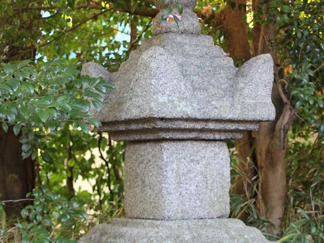 ̏dvpi̕⸈󓃁B_@iRj