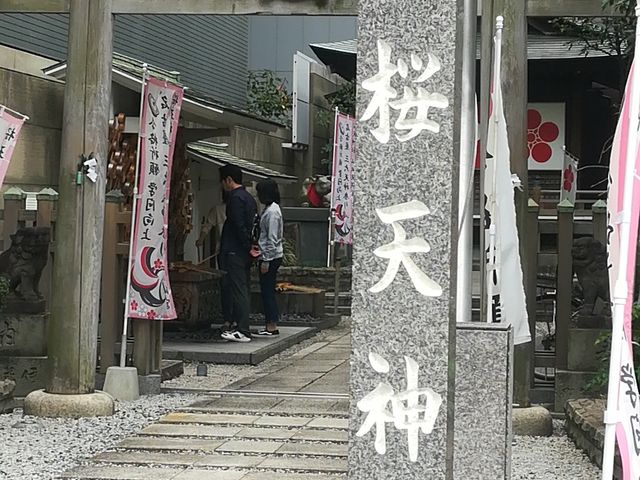 ���i_���V�_��