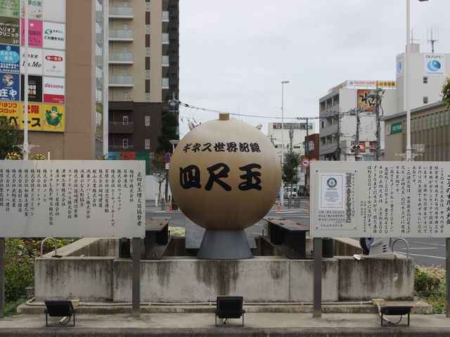 ԉΑ̃jg_hg[R[q[Vbv wOXiGOURMET COFFEE DOUTORj