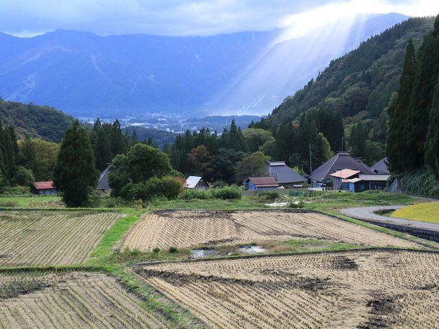 �H�̗��R�̌i�F���X�e�L�ł�_�S�n��