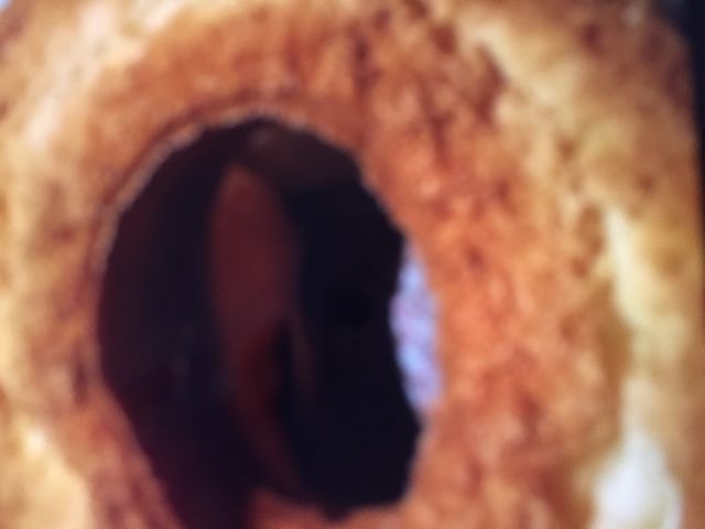 h[ic_~X^[h[icRYK[fVbv