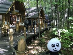 ̃VbsO[hujOeXvւ̓eʐ^1