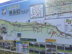 g̉l@؂̉Ԕւ̓eʐ^1