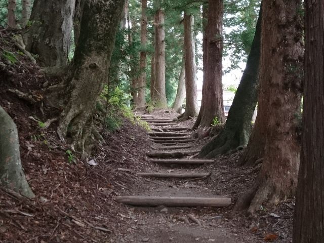 ���͋C�̂������R��_���R��