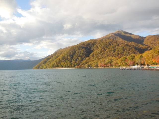 �ΔȂ̑Ί݂͎D�y���ʂւ̌Δȓ��H_�x┌�