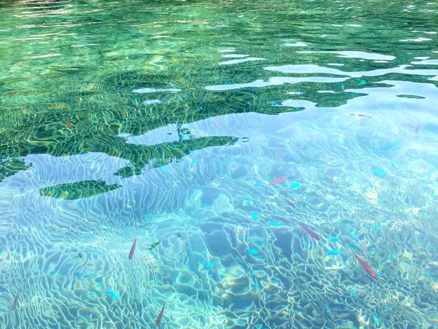 cC݁@{ő勉̃VRTSʁ@uOX{[gvŊӏ܂ł܂B_cC