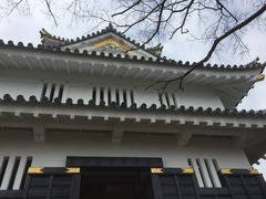 Ƃ񂳂̋؎Rւ̓eʐ^1