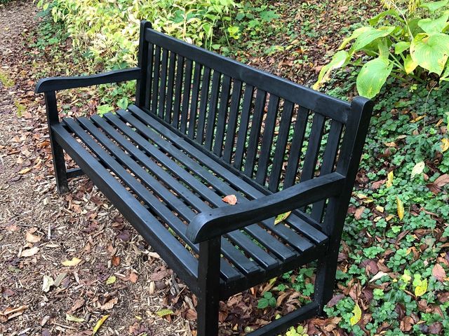 �y��򃌃C�N�K�[�f���@������ƈ�x��_�y��򃌃C�N�K�[�f��