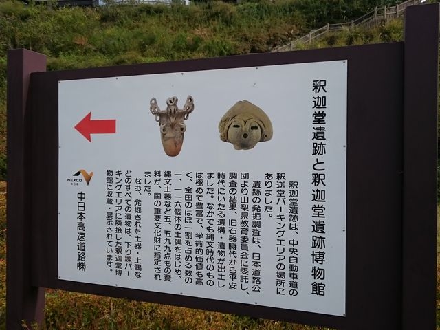 ̋ߕӂŔ@ꂽՂW锎ق݂Ă܂B_߉ޓp[LOGAijXibNR[i[