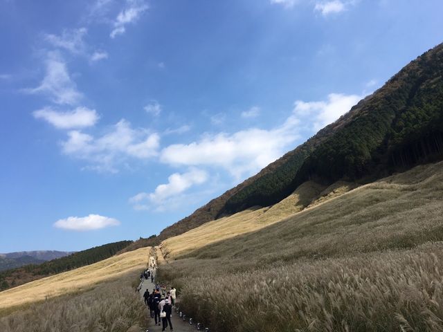 ւ񂩂
B_gĎBeĂ܂I
gтłB_Ό