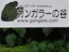 TKS̃KK[̒Jւ̓eʐ^1