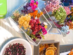 �����������kotorinhouse�ւ̓��e�ʐ^1