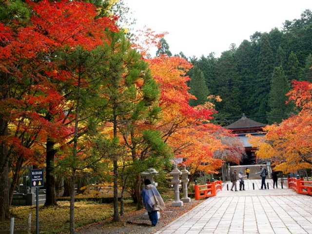 ���V�@�ւ̓r��_���V�@