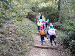 gV[̋RnCLOR[Xւ̓eʐ^1