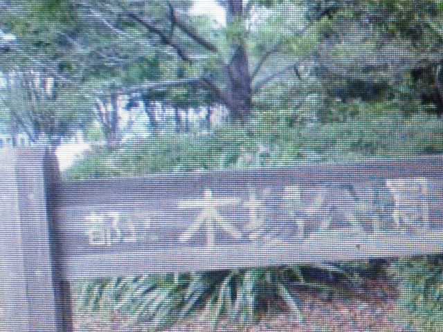 �؏����_�؏����