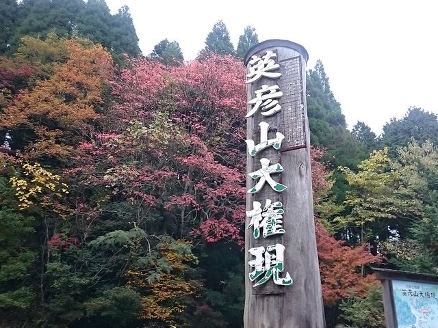 �p�F�R�匠��_�p�F�R