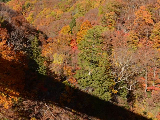 ���̉e�ƍg�t_���Ð�k�J