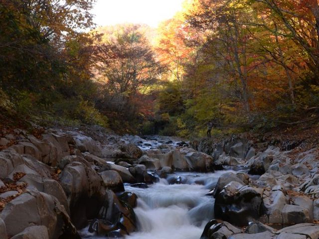 ���ƍg�t_���Ð�k�J