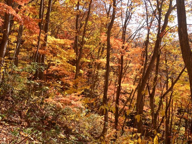 �R����H_���Ð�k�J