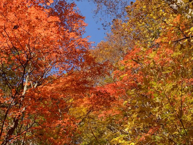 �Ɛ�_���Ð�k�J