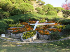 綺麗に飾られた花時計 - 花時計のクチコミ - じゃらんnet