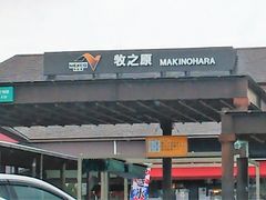 ���񂳂�̖q�V���T�[�r�X�G���A�i����j�ւ̓��e�ʐ^1