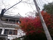 񂿂񂳂̂ӂꂠ̊ف@WC̓eʐ^1