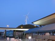 Ԃ񂳂̃LgD[}L͔d̓eʐ^1