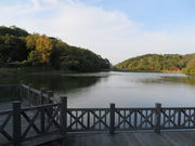 Ԃ񂳂̍r_J̒ւ̓eʐ^1