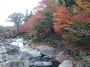 񂿂񂳂̗勬̓eʐ^1