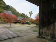 Ԃ񂳂̈ꔨ뉀̓eʐ^1