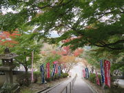 Ԃ񂳂̈ꔨ뉀̓eʐ^2