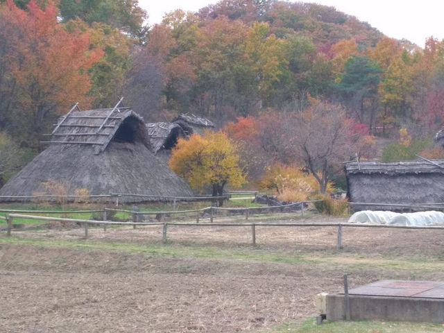 񂴂񂳂̂炵Ȃ̗Ñ̌p[NEjق̓eʐ^1