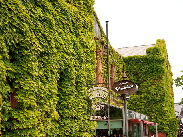 �s���������̓����K����̌����ɗt�����݂��Ă���A���g�������ڂł����B_�͂����Ė�����