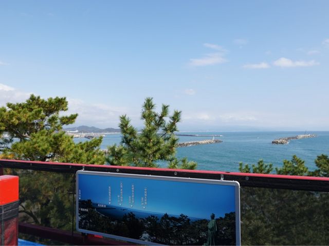 ���n�ڐ��̑����m�I_��{���n�̓���