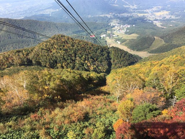 �_�����ꂽ���Ƃɂ��Y��ȍg�t�̌i�F���y���߂܂�����_�����}�E���e�����]�[�g