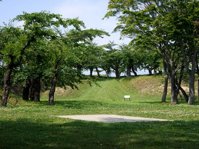 �ܗŊs��5�̐�[�ɂ���A�y�ۂ̏�ɑ�C���^�񂾂ƍl�����Ă����ł��B_�ܗŊs����