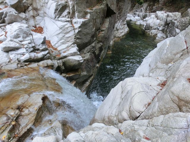 ܂܂ς񂾂̓V̓eʐ^1