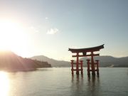 ݂ɂ݂낳̌}l̓eʐ^1