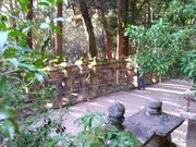 ��˂�����̃i�M���т̓��e�ʐ^1