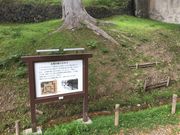 poporon̏cՌPL؂̓eʐ^3