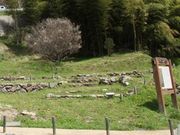 �A�N�Z���[���J�C����̍��c�隬�i���R���^��s�j�̓��e�ʐ^1