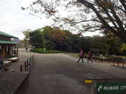 Ђ낳̌y@lGʂ̓eʐ^1